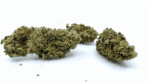 Lemon Haze 2gr Konoplje CBD Cvet za Pušenje