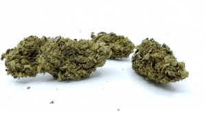 Lemon Haze 2gr Konoplje CBD Cvet za Pušenje