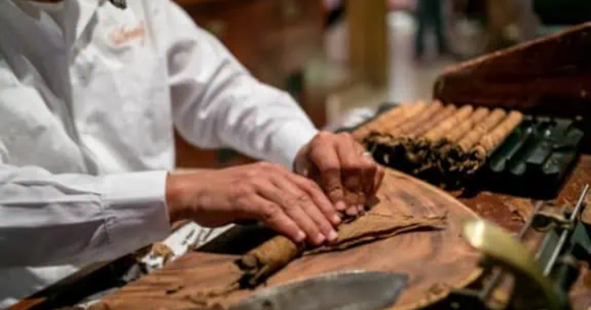 Izrada cigare igra ključnu ulogu - ručno motanje tompusa