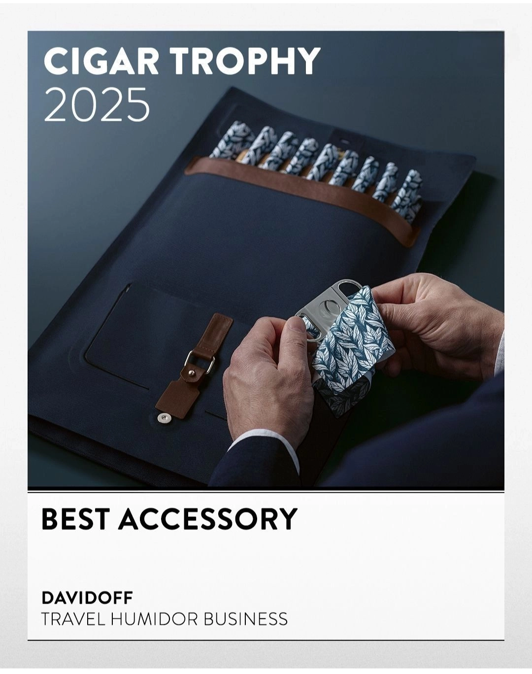 Cigar Trophy 2025 Best Accessory – Davidoff Putni Humidor Business