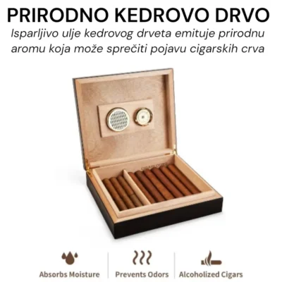 Otvoren mali humidor sa cigarama od prirodnog kedrovog drveta